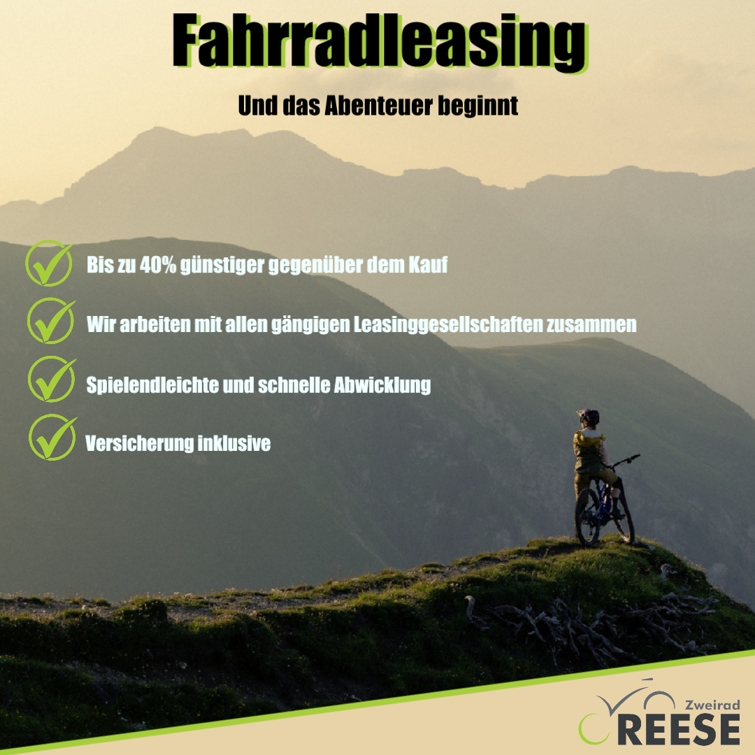 Leasing 1